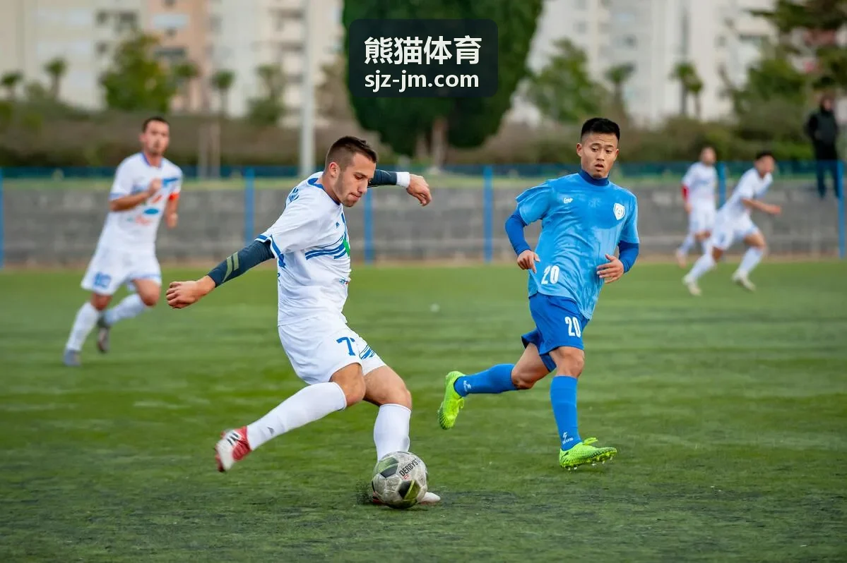 熊猫体育合作客户